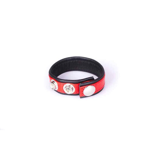 Rainbow Leather Cock Strap Black & Red