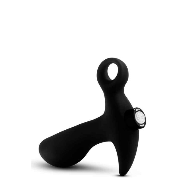 Anal Adventures Prostate Massager 01