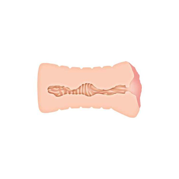 Zero Tolerance Lisa Ann Realistic Vagina Stroker