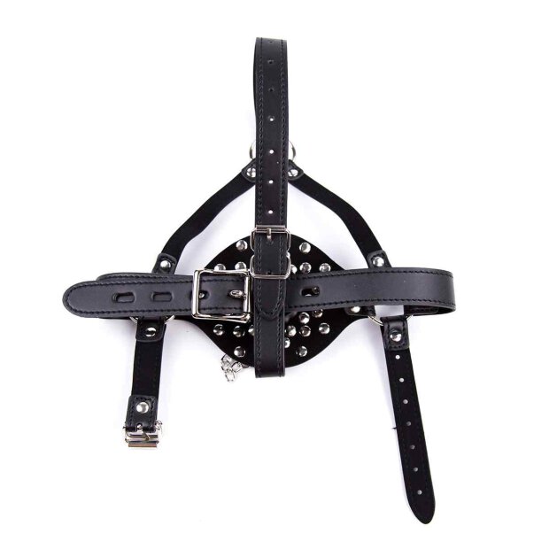 Lid Head Harness Gag