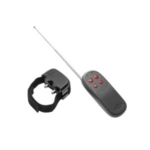 Cock Shock Remote