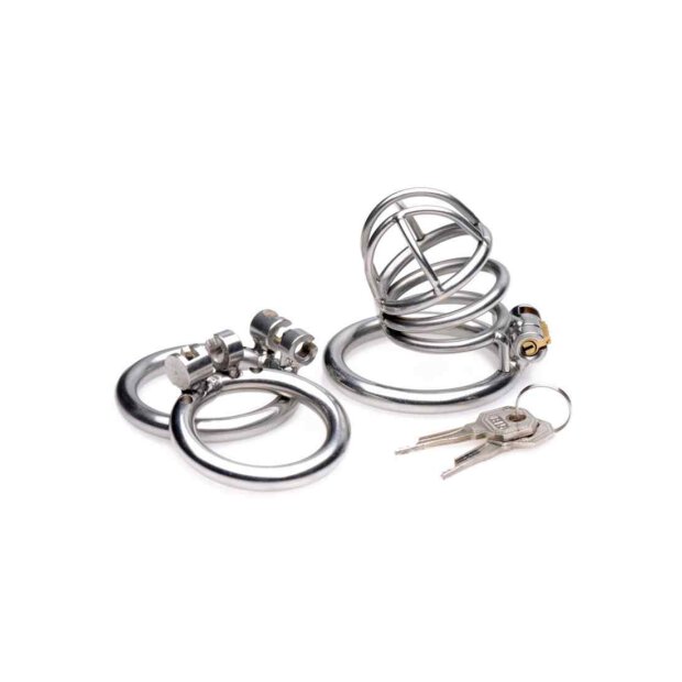 The Pen Deluxe Locking Chastity Cage Silver
