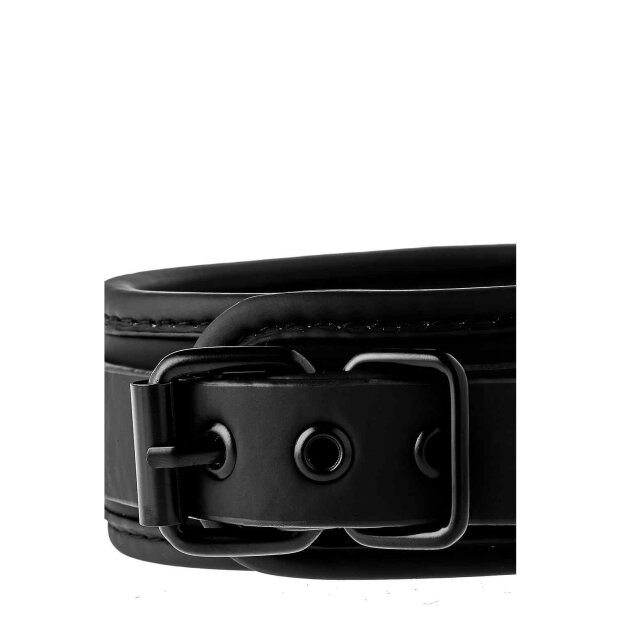 Blaze Collar And Leash Black