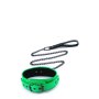 Electra Collar And Leash Green