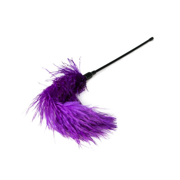 Purple Feather Tickler