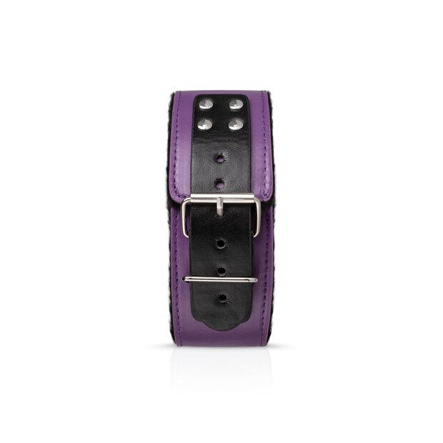 Secret Pleasure Chest Purple Apprentice