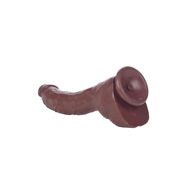 COLT Adam Dexter Cock Brown 21,5 cm
