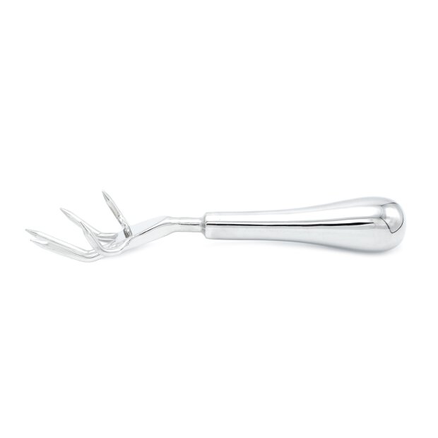 Stainless Steel Claw Scratcher