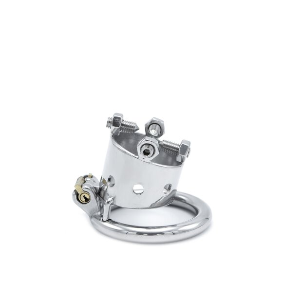 Torture Chastity Device