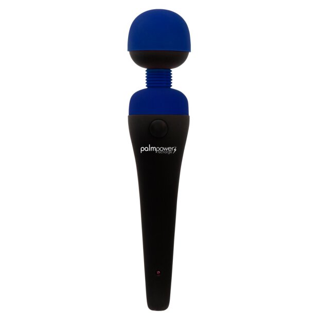 PalmPower recharge Blue