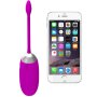 Pretty Love Abner App Vibrating egg with remote control pink