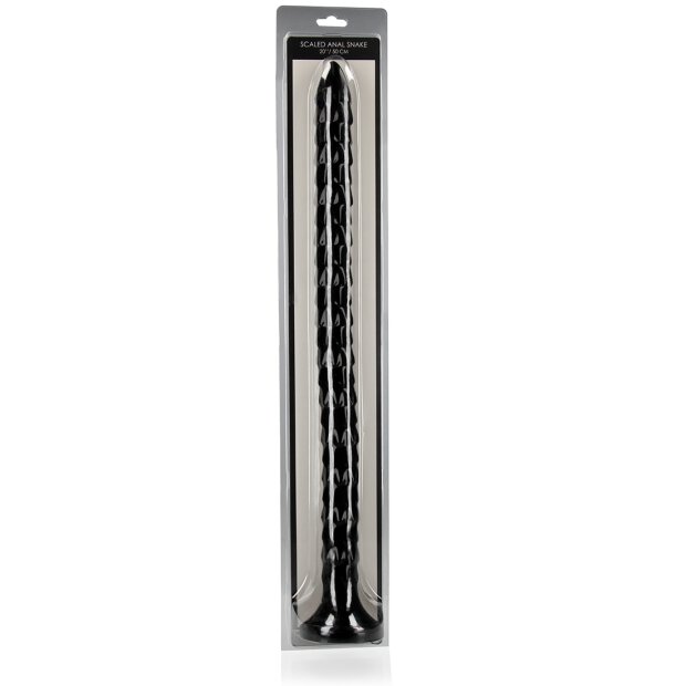 Scaled Anal Snake 20/ 50 cm