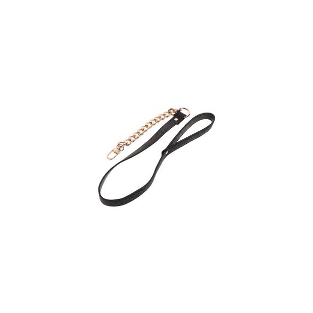 Statement Collar and leash