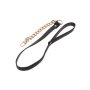 Statement Collar and leash