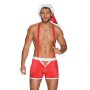 Obsessive Mr Claus costume red