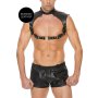 Shots harnais pour homme avec collier noir taille unique