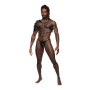 Male Power Aquarius