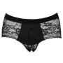 Bad Kitty Panty S