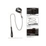 CalExotics Collar With Chain Leash
