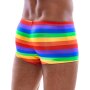 Mens Boxer Briefs Rainbow S