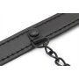 KINKgear Gag Nip Ring and Nipple Clamps