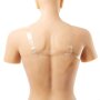 CrossGearX Breast prosthesis with straps G cup