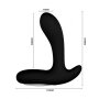 Crazy Bull Backie Prostatamassager mit Vibration Schwarz Ø 3.5 cm