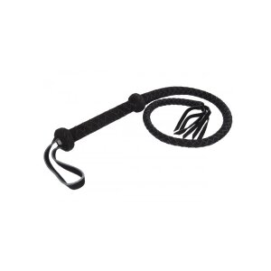 Rimba Arabian bullwhip, short