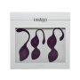 Rimba Toys - Geneva - Kegel Balls Training Set - Purple