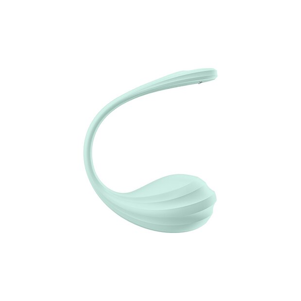 Satisfyer Smooth Petal Connect App tragbarer Paar Vibrator - Mint
