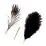 Sevanda Natural Pfauen Feder Tickler schwarz/grün