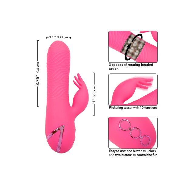 CalExotics California Dreaming Sacramento Sweetie Rose