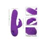 CalExotics California Dreaming Manhattan Beach Marvel Purple