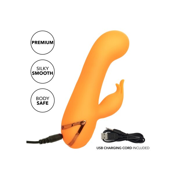 CalExotics California Dreaming Montecito Muse Orange