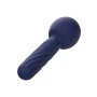 CalExotics Charisma Seduction Purple