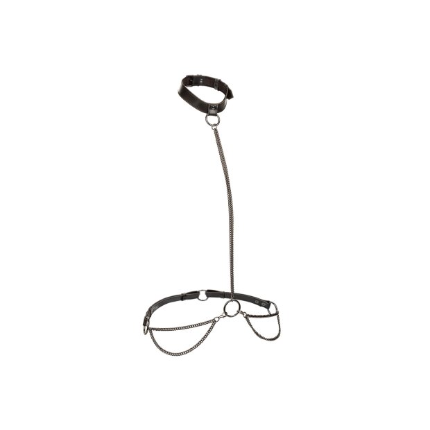 CalExotics Euphoria Collection Collier en chaîne & laisse noir