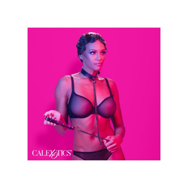 CalExotics Euphoria Collection Collier en chaîne & laisse noir