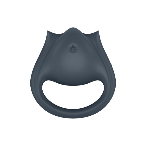 Satisfyer Perfect Pair 2