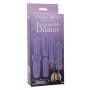CalExotics Dr. Laura Berman Dilators Set Purple