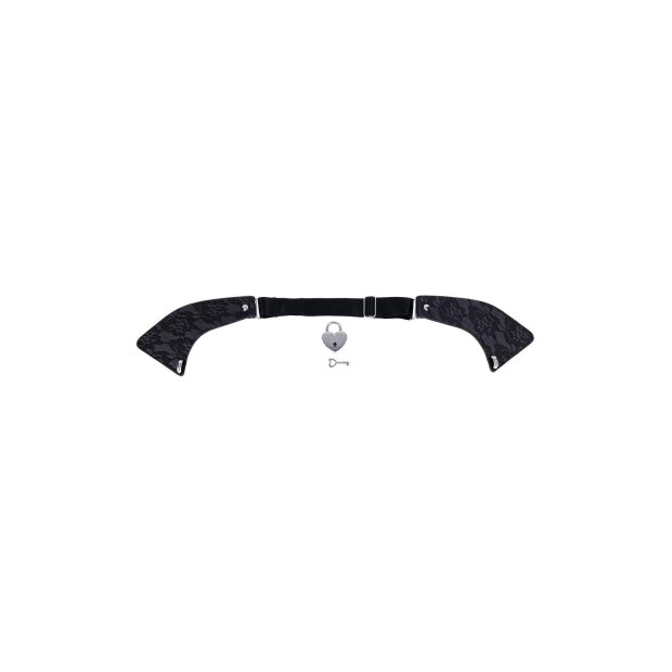 Sportsheets Sex and Mischief Lace Day Collar