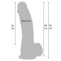 Hidden Desire Realistic Dildo PVC 30 cm Skin