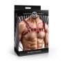 XR Brands Bulldog Harness Red