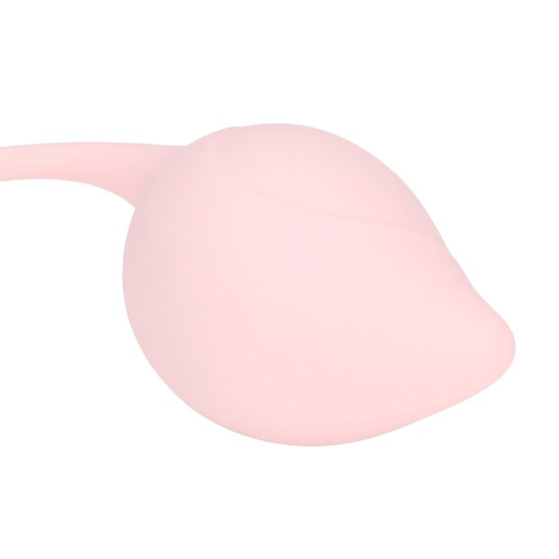 Loveline Pelvic Stem Kegel Kit 5 teilig Mehrfarbig Ø 3,5 cm
