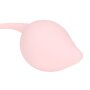 Loveline Pelvic Stem Kegel Kit 5 teilig Mehrfarbig Ø 3,5 cm