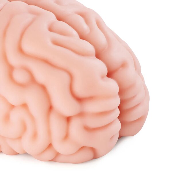 Motsutoys Brain Hacked DX Masturbateur 1,2 Kg Beige