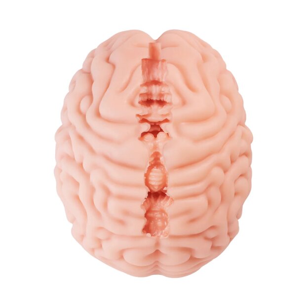 Motsutoys Brain Hacked DX Masturbateur 1,2 Kg Beige