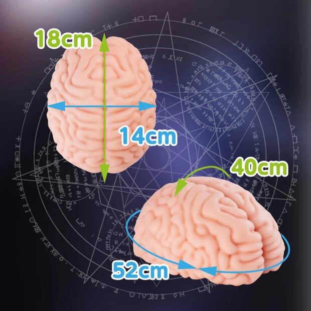 Motsutoys Brain Hacked DX Masturbateur 1,2 Kg Beige