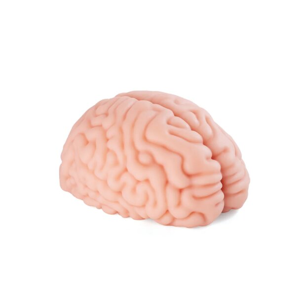 Motsutoys Brain Hacked DX Masturbateur 1,2 Kg Beige
