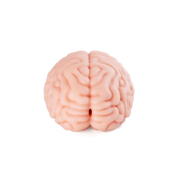 Motsutoys Brain Hacked DX Masturbateur 1,2 Kg Beige