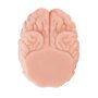 Motsutoys Brain Hacked DX Masturbateur 1,2 Kg Beige